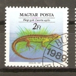 Stamps Hungary -  LACERTA   AGILIS