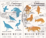 Sellos de America - M�xico -  Conservemos las aves-conservemos la fauna amenazada