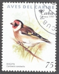 Sellos de America - Cuba -  Aves del Caribe
