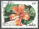 Stamps Cuba -  Flora del Caribe