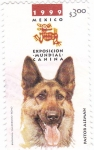 Sellos de America - M�xico -  Exposicion mundial canina-pastor alemán