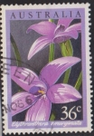 Stamps Australia -  