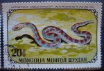 Stamps Asia - Mongolia -  Serpiente
