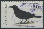 Stamps Chile -  S1272 - Aves Chilenas - Tordo
