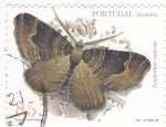 Stamps Portugal -  Madeira-mariposa