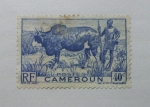 Stamps : Africa : Cameroon :  Ganadero y Zebu.
