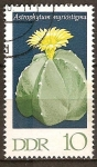 Stamps Germany -  