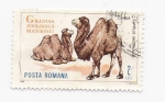 Stamps Romania -  