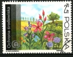 Sellos de Europa - Polonia -  