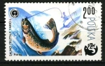 Stamps Poland -  