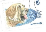 Sellos de Europa - Espaa -  Perros de raza española