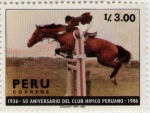 Stamps : America : Peru :  Club Hipico Peruano