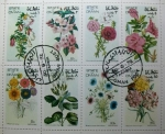 Stamps Asia - Oman -  