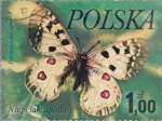 Sellos de Europa - Polonia -  mariposas