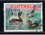 Stamps Guatemala -  Zambullidor Lago de Atlitan