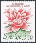 Stamps Sweden -  LA NATURALEZA VIVA. NENÚFAR ROJO (NYMPHAEA ALBA F. ROSEA). Y&T Nº 1307