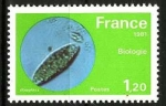 Stamps France -  1981