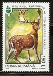 Stamps Romania -  DAMA   DAMA