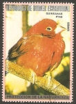 Stamps Africa - Equatorial Guinea -  La amandina del collar, de Australia
