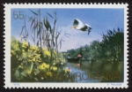 Stamps Romania -  RUMANIA - Delta del Danubio