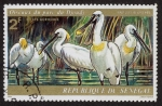 Stamps : Africa : Senegal :  SENEGAL - Santuario Nacional de Aves de Djudj