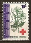 Stamps : Africa : Republic_of_the_Congo :  "Plantas medicinales"Strophanthus Sarmentosus.