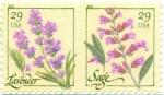 Stamps United States -  SELLOS DE DISPENSADOR - FLOR DE LAVENDER Y SAGE