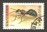 Sellos de Europa - Bulgaria -  3461 - una hormiga