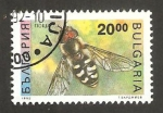 Sellos del Mundo : Europa : Bulgaria : 3462 - una abeja