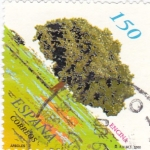 Stamps Spain -  arboles-encina