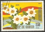 Stamps Equatorial Guinea -  flor dryas octopetala