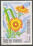 Stamps Equatorial Guinea -  flor helichrysum lucidum