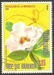 Stamps Equatorial Guinea -  flor magnolia grandiflora