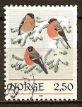 Stamps Norway -  Pinzones del Norte.