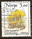 Sellos de Europa - Noruega -  Hongos. Rebozuelo (Cantharellus cibarius).