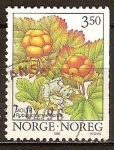 Stamps : Europe : Norway :  Rubus chamaemorus-Mora de los pantanos.