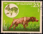 Sellos de Europa - Bulgaria -  Perros de Caza
