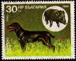 Stamps Bulgaria -  Perros de Caza