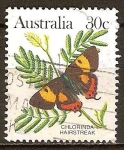 Sellos de Oceania - Australia -  Chlorinda hairstreak 