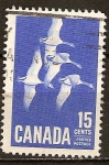 Stamps : America : Canada :  Gansos de Canadá.