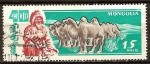 Stamps : Asia : Mongolia :  Aniv 40 años de la Independencia.Ganadería. Los camellos.
