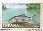 Stamps Spain -  Barbo. Barbus Barbus