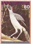Stamps Equatorial Guinea -  protección de la naturaleza-el pictartinos-africa