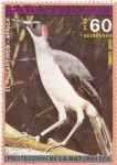 Sellos de Africa - Guinea Ecuatorial -  protección de la naturaleza-el pictartinos-africa