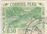 Stamps Peru -  andenes de pisac cusco sistema incaico para el cultivo del maiz