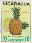 Stamps Nicaragua -  piña