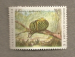 Stamps Cuba -  Navidad 1961-62
