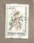 Stamps : America : Argentina :  Notro-Ciruelillo
