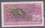 Stamps Germany -  castor