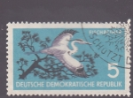 Stamps Germany -  cigüeña